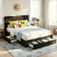 Double Bed Frame Storage Charging Station Upholstered 3 Drawers USB Type-C